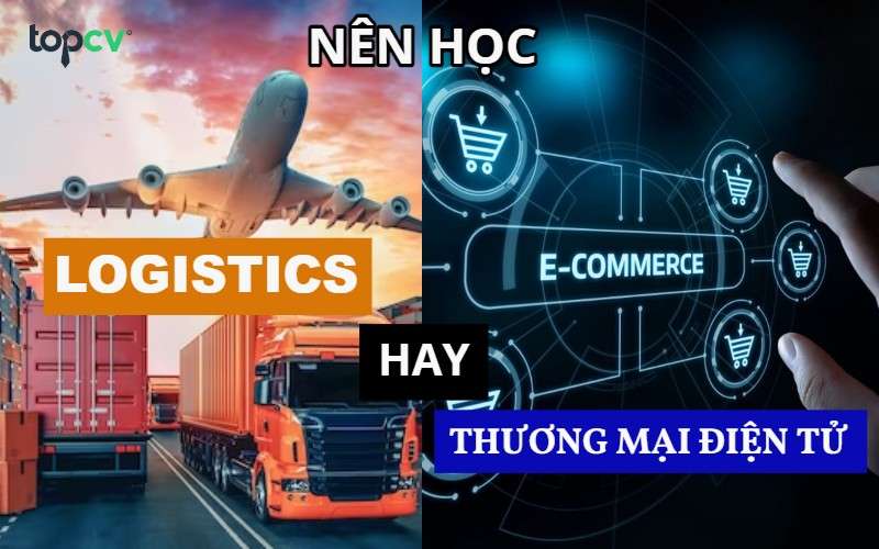 Nên học ngành Logistics hay Thương mại điện tử để dễ xin việc?